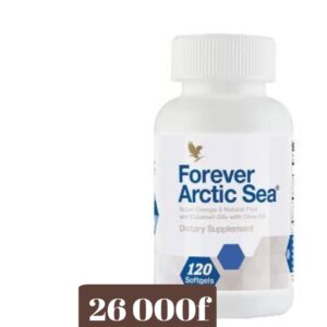 ARTIC SEA